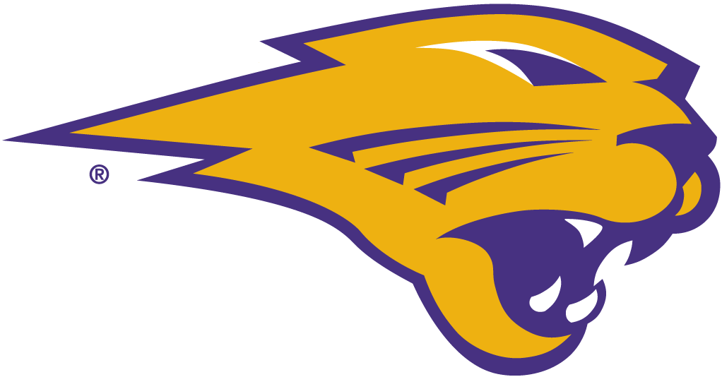 Northern Iowa Panthers 2002-Pres Partial Logo diy DTF decal sticker